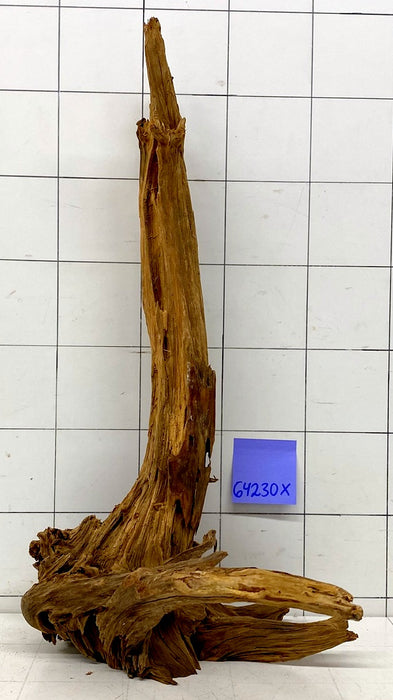 64230X - XINGU Wood Wurzelholz mit geschnittener Grundfläche