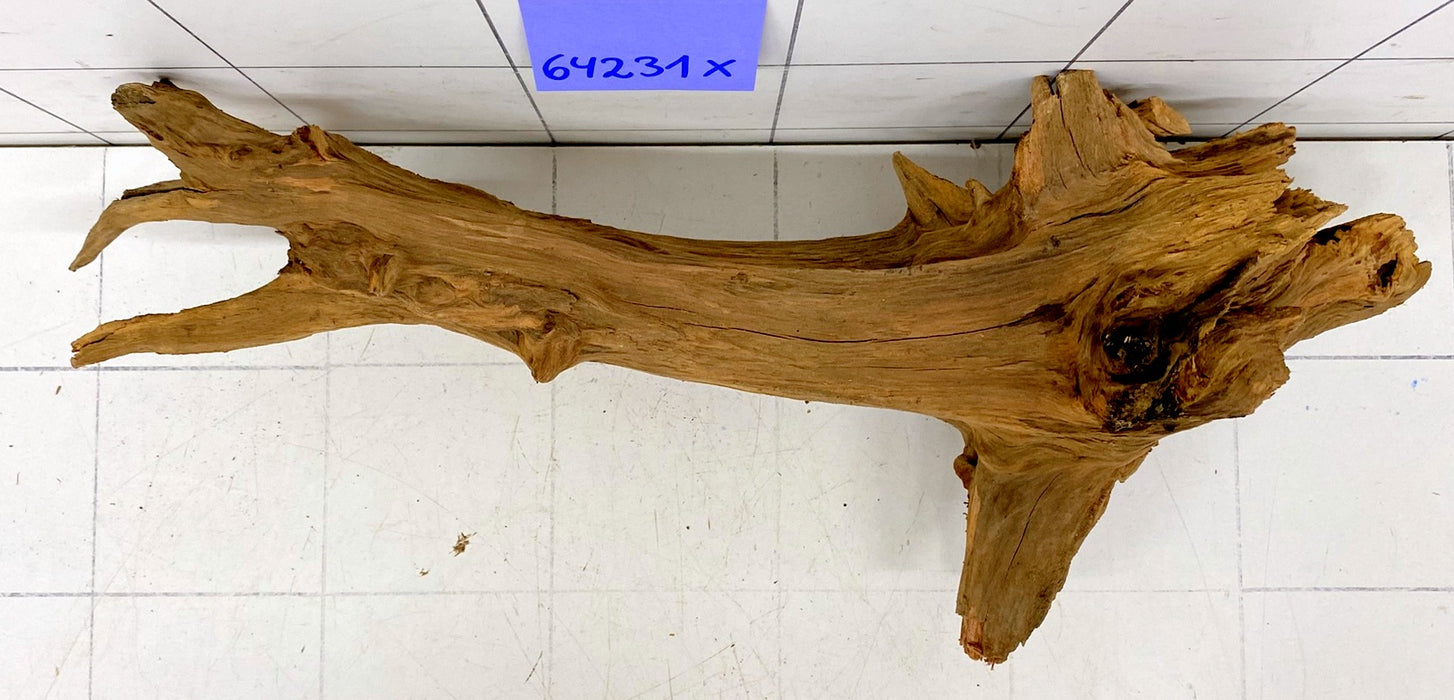 64231X - XINGU Wood Wurzelholz