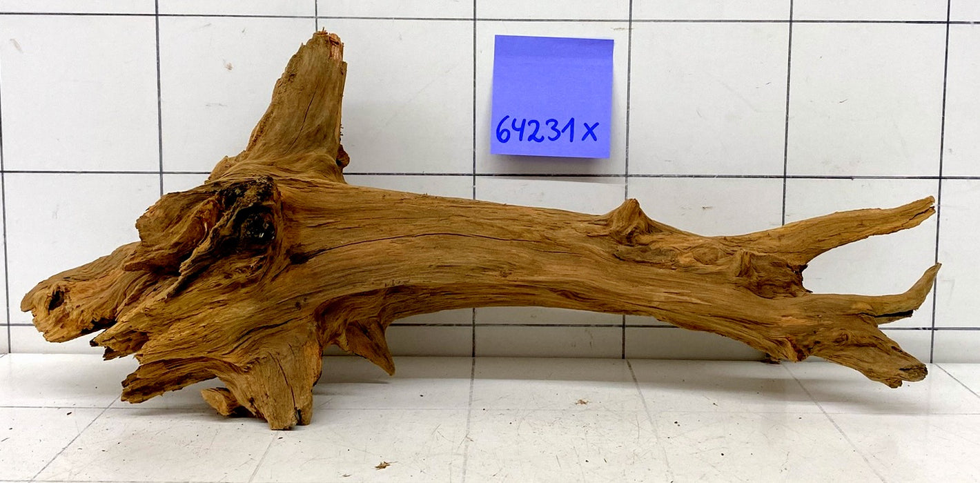 64231X - XINGU Wood Wurzelholz