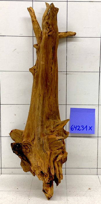 64231X - XINGU Wood Wurzelholz