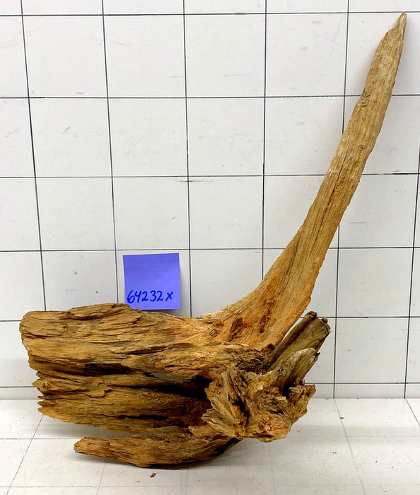 64232X - XINGU Wood Wurzelholz mit geschnittener Grundfläche