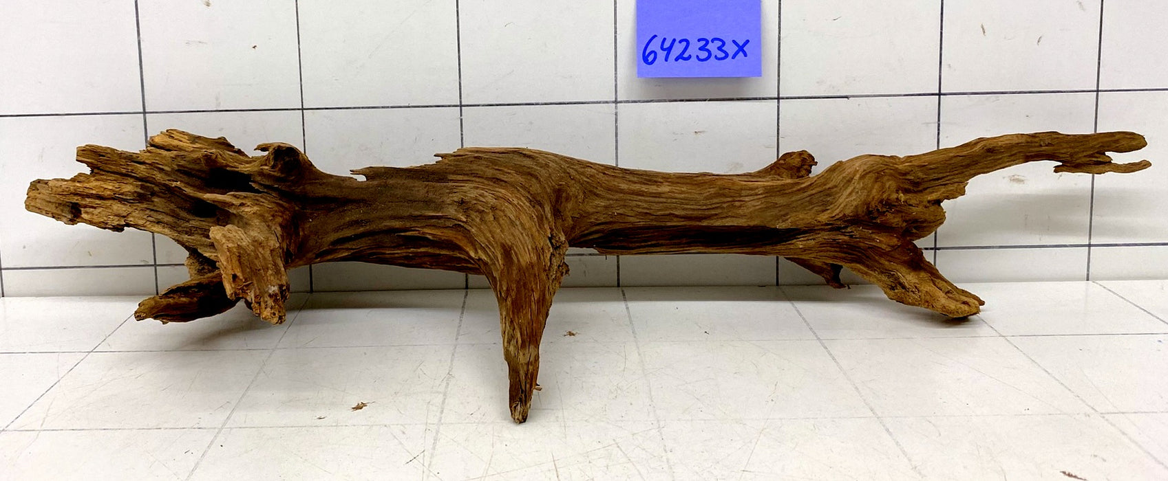 64233X - XINGU Wood Wurzelholz