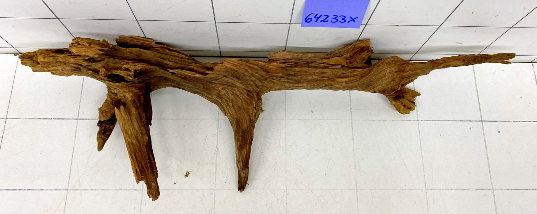 64233X - XINGU Wood Wurzelholz