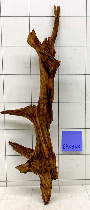 64233X - XINGU Wood Wurzelholz