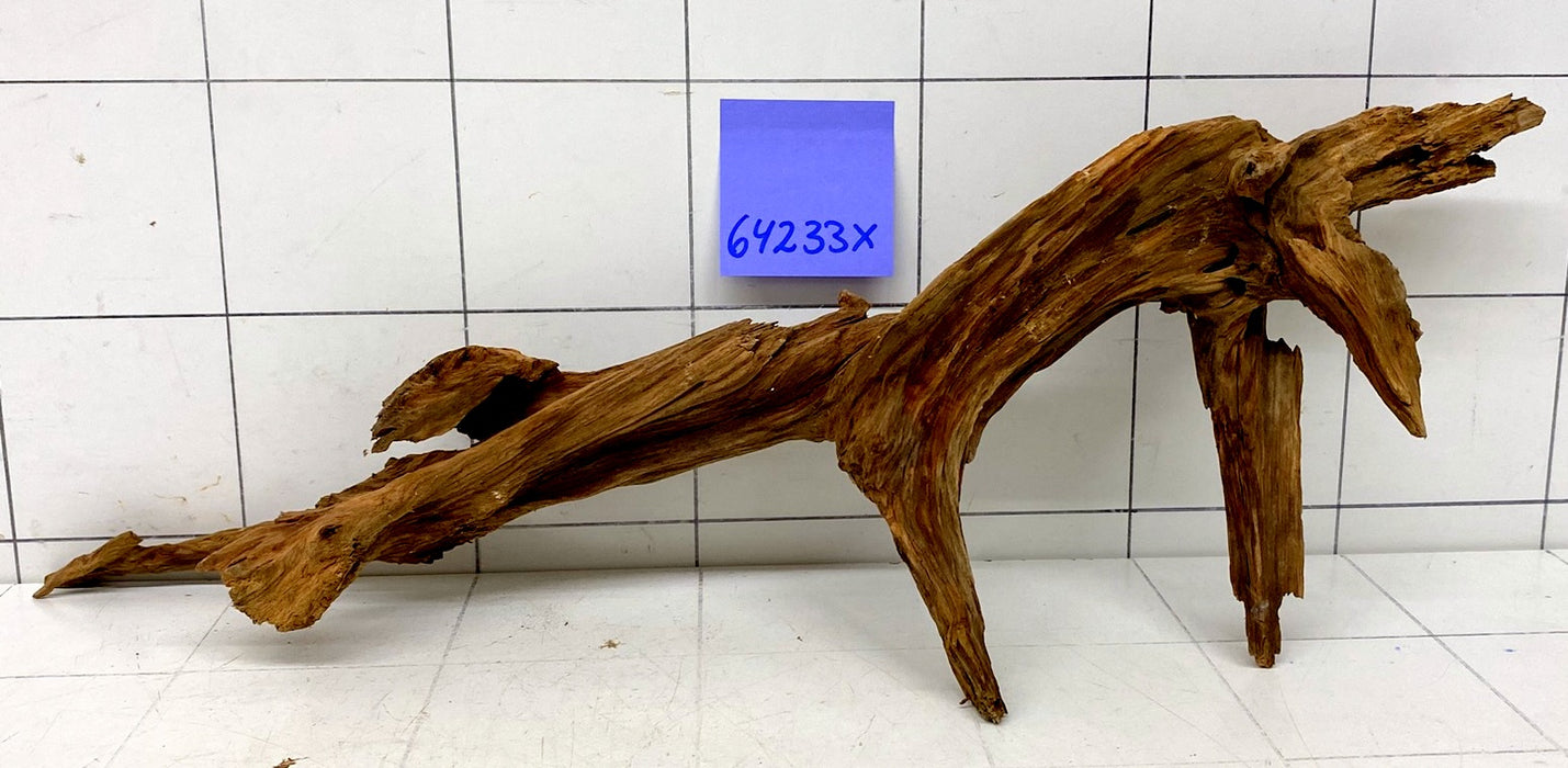 64233X - XINGU Wood Wurzelholz