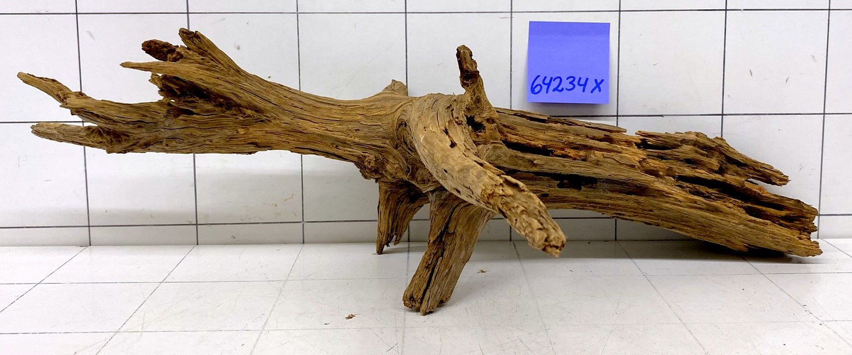 64234X - XINGU Wood Wurzelholz