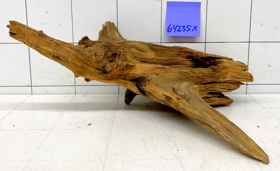 64235X - XINGU Wood Wurzelholz