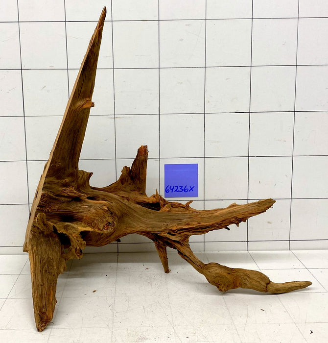 64236X - XINGU Wood Wurzelholz mit geschnittener Grundfläche