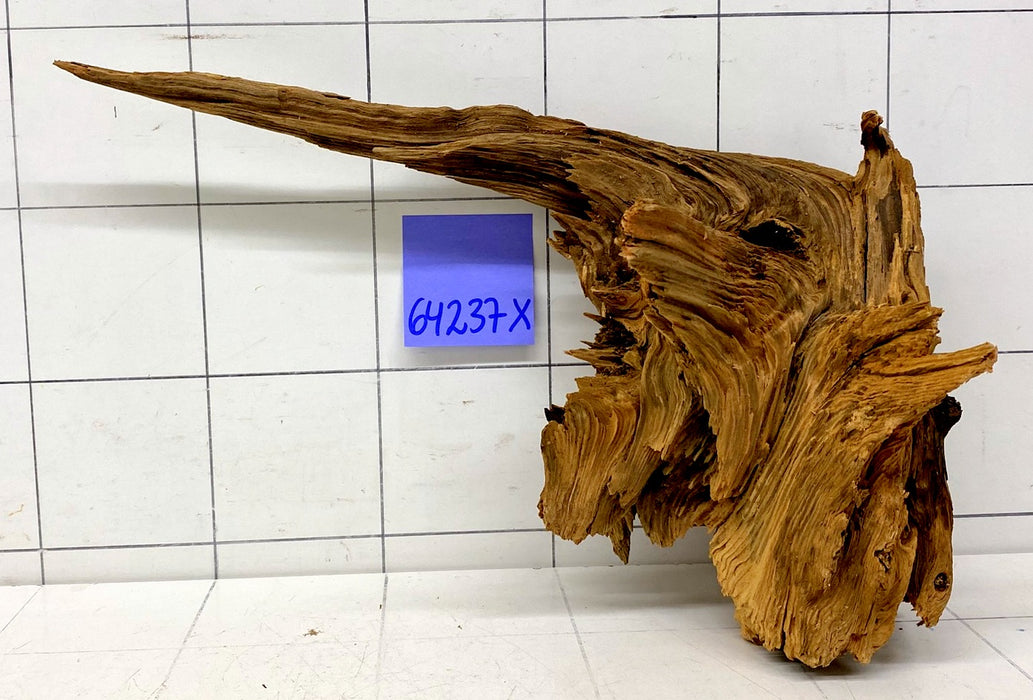 64237X - XINGU Wood Wurzelholz