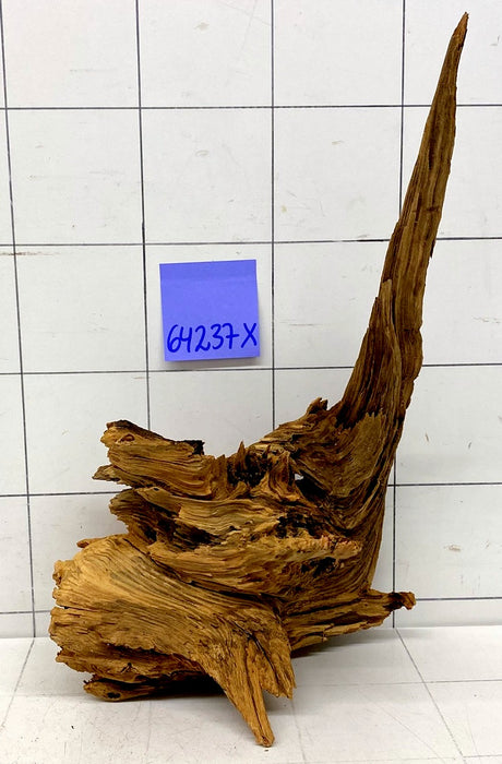 64237X - XINGU Wood Wurzelholz