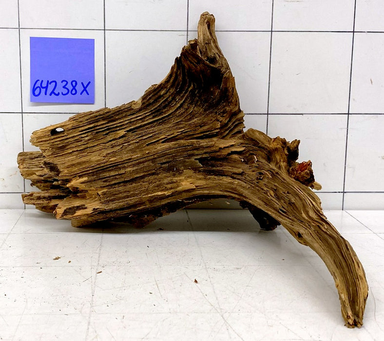 64238X - XINGU Wood Wurzelholz