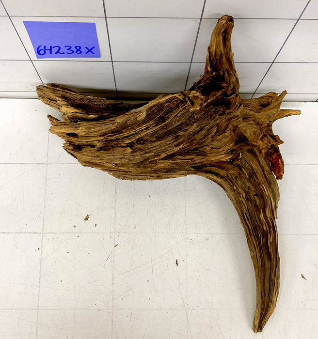 64238X - XINGU Wood Wurzelholz