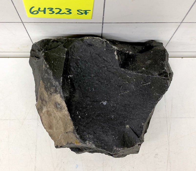 64323 SF - Schwarzer Felsen