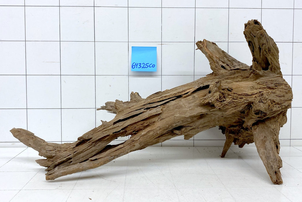 64325CO - Corbo Wurzel Holz