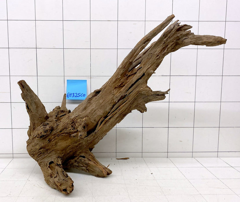 64325CO - Corbo Wurzel Holz