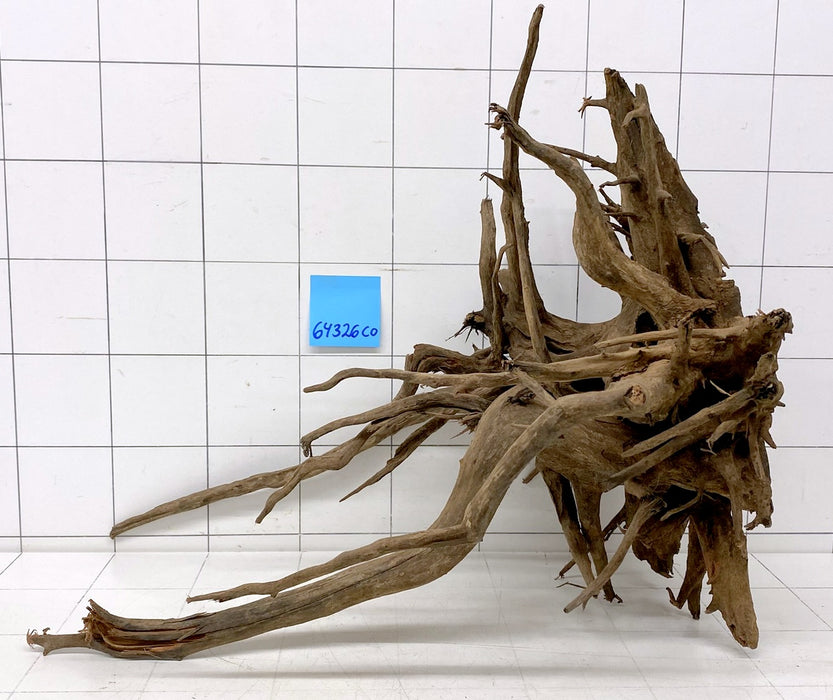 64326CO - Corbo Wurzel Holz