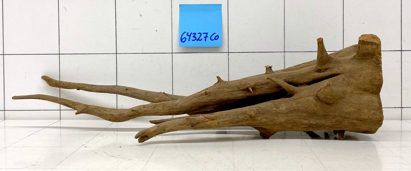 64327CO - Corbo Wurzel Holz