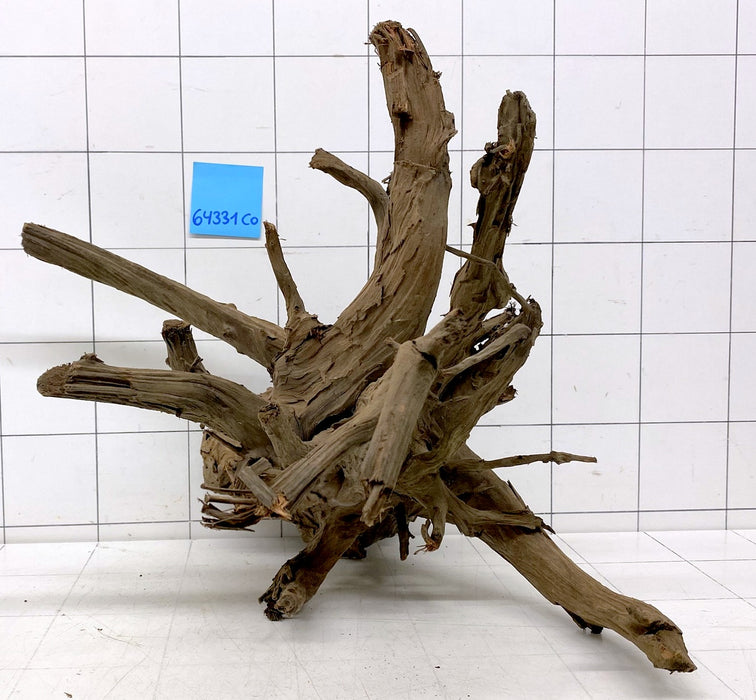 64331CO - Corbo Wurzel Holz