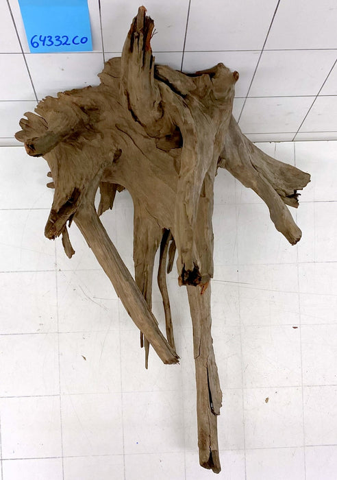 64332CO - Corbo Wurzel Holz