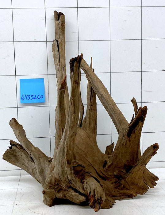 64332CO - Corbo Wurzel Holz