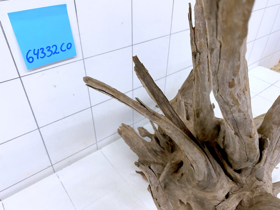 64332CO - Corbo Wurzel Holz
