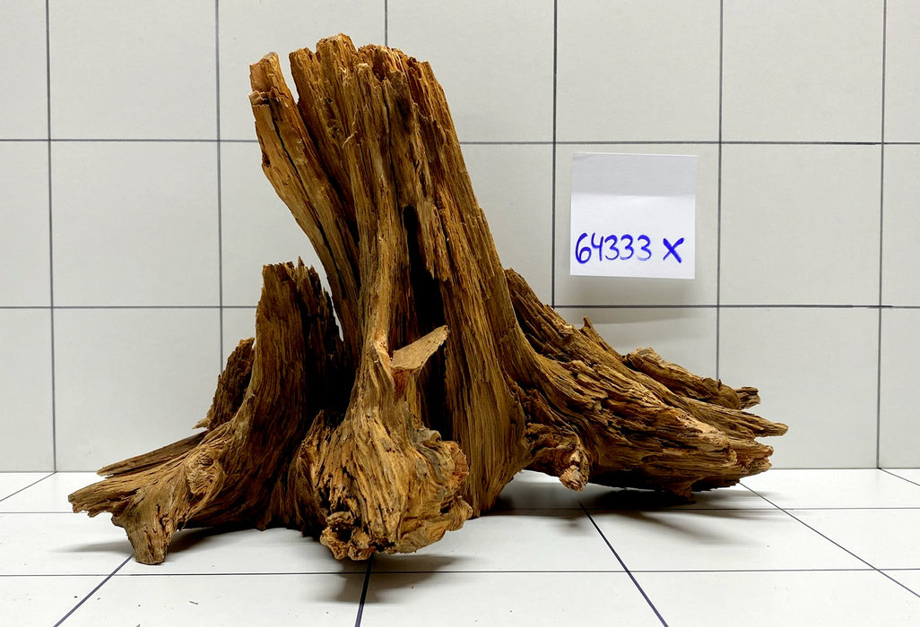 64333X -  XINGU Wood Wurzelholz mit geschnittener Grundfläche