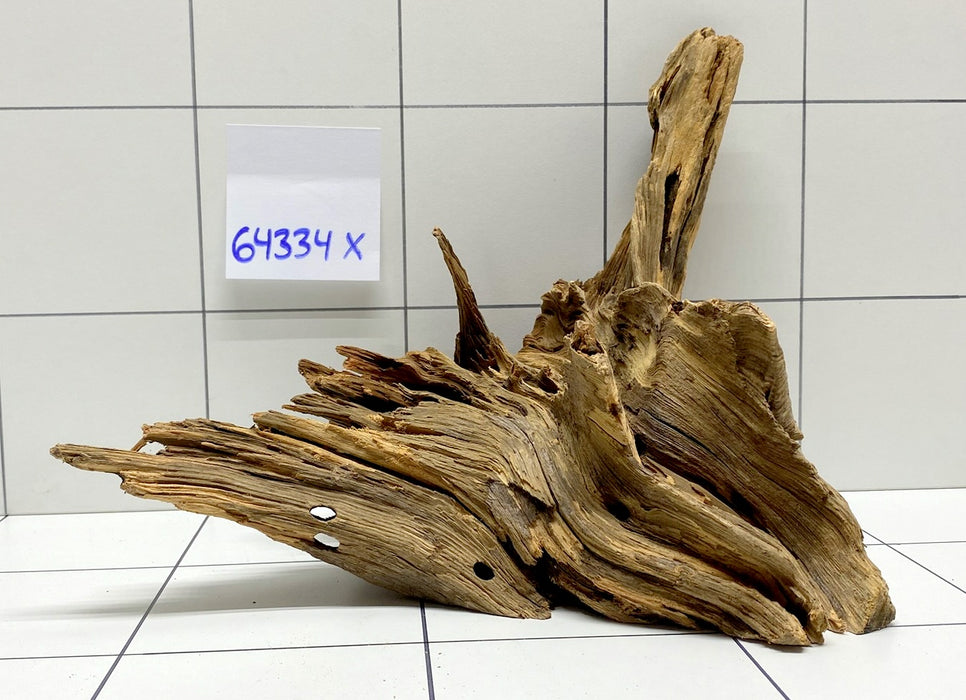 64334X -  XINGU Wood Wurzelholz mit geschnittener Grundfläche