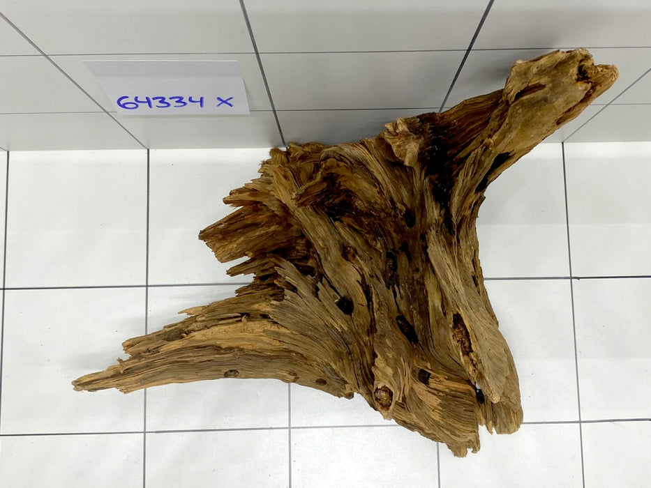 64334X -  XINGU Wood Wurzelholz mit geschnittener Grundfläche