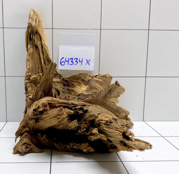 64334X -  XINGU Wood Wurzelholz mit geschnittener Grundfläche