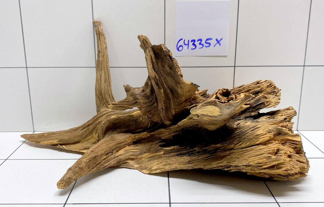 64335X -  XINGU Wood Wurzelholz mit geschnittener Grundfläche
