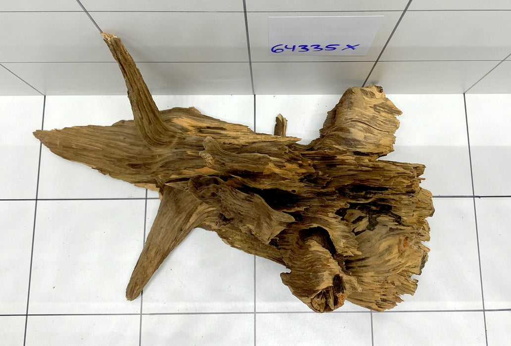 64335X -  XINGU Wood Wurzelholz mit geschnittener Grundfläche