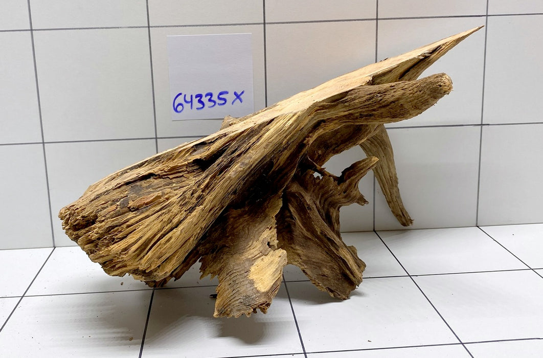 64335X -  XINGU Wood Wurzelholz mit geschnittener Grundfläche