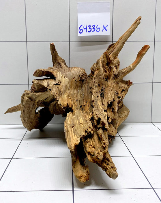 64336X -  XINGU Wood Wurzelholz mit geschnittener Grundfläche