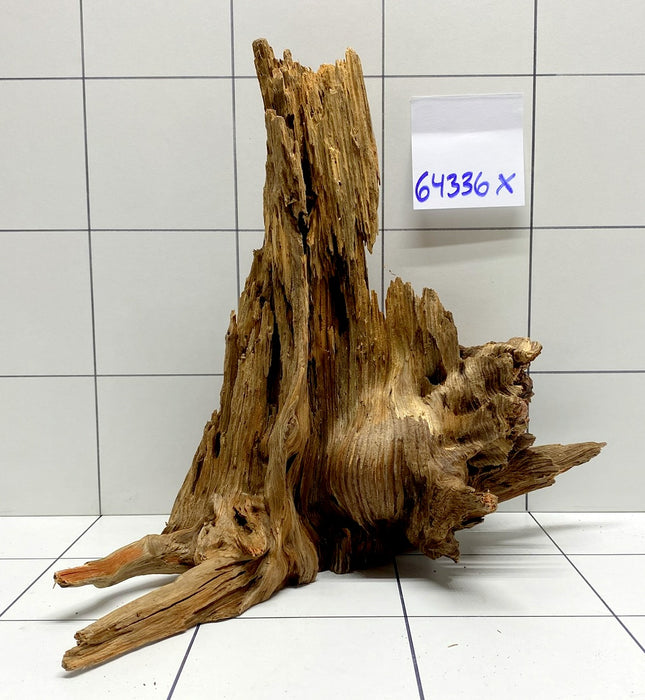 64336X -  XINGU Wood Wurzelholz mit geschnittener Grundfläche