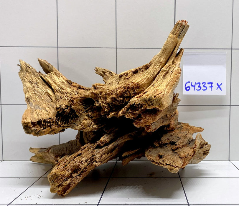 64337X -  XINGU Wood Wurzelholz mit geschnittener Grundfläche