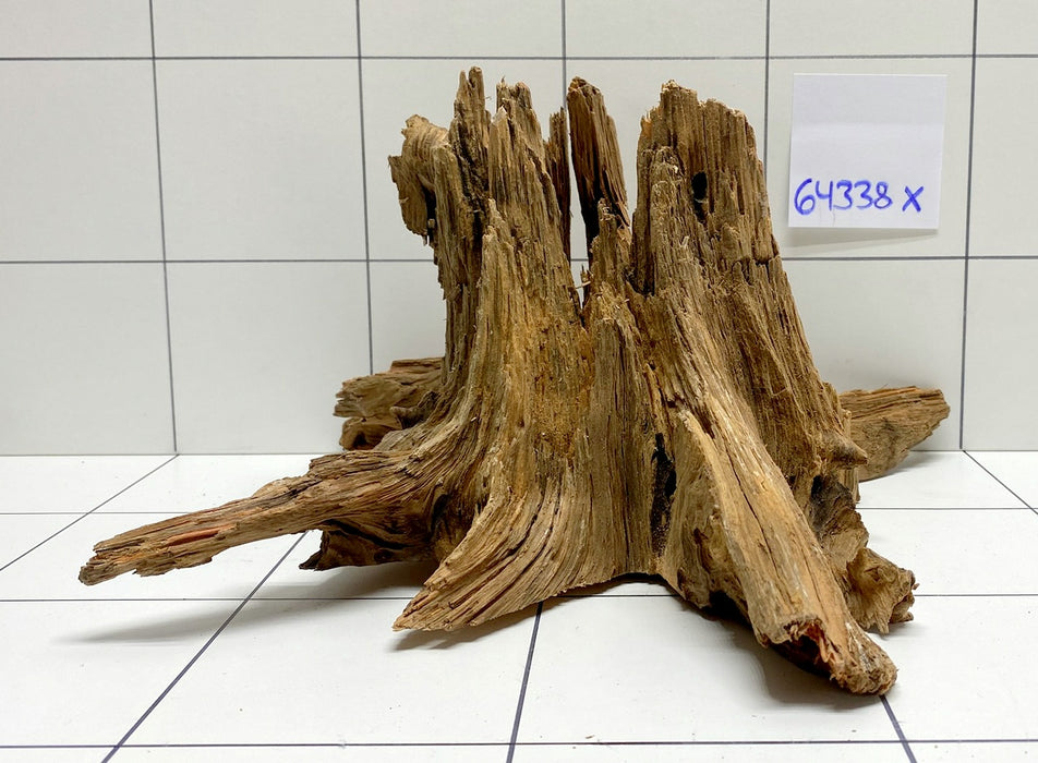 64338X - XINGU Wood Wurzelholz mit geschnittener Grundfläche