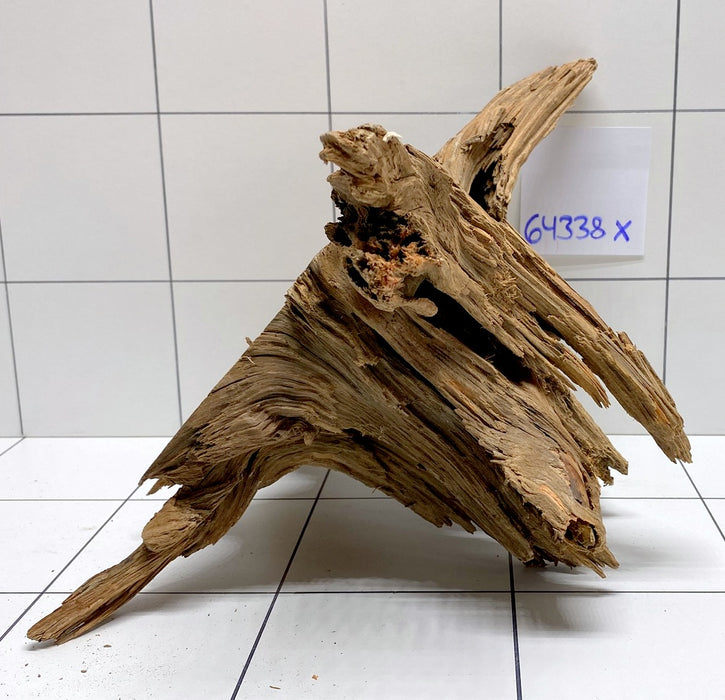 64338X - XINGU Wood Wurzelholz mit geschnittener Grundfläche