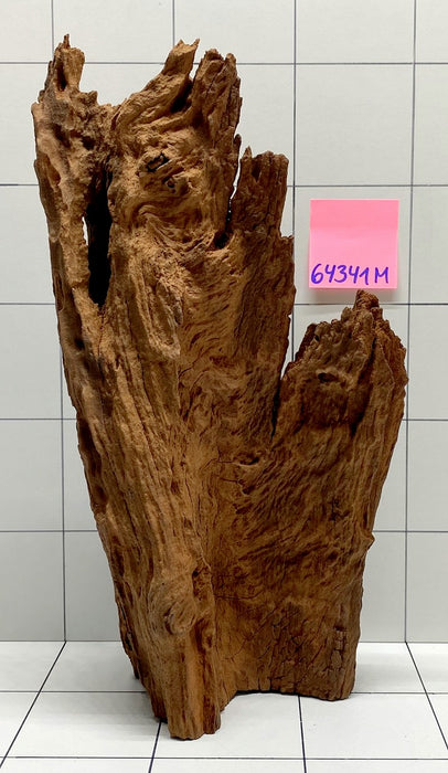 64341M - Mangrovenwurzel Holz