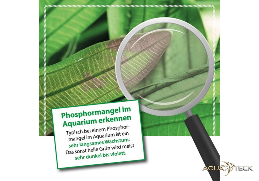 MICROBE-LIFT Plants P