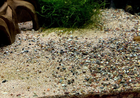 Naturkies Rio Negro (0-2 mm) 5kg image
