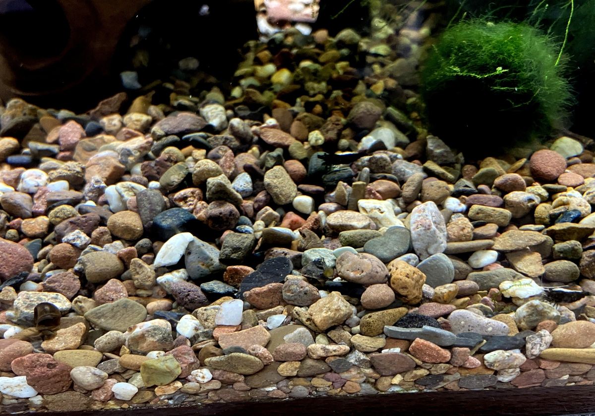 Naturkies Rio Negro (5-8 mm)