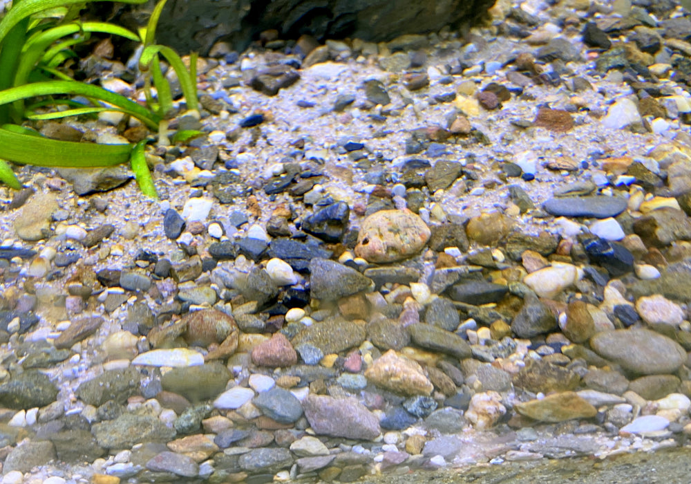 Naturkiesmischung Malawi (1-6 mm) 