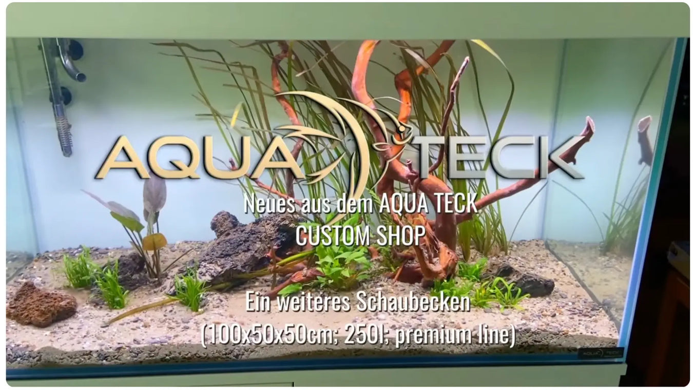 AQUA TECK Custom Shop – Neues bepflanztes Schaubecken (100x50x50cm, 250l, Premium Line) mit Wasserpflanzen, Wurzeln und Steinen auf hellem Kies