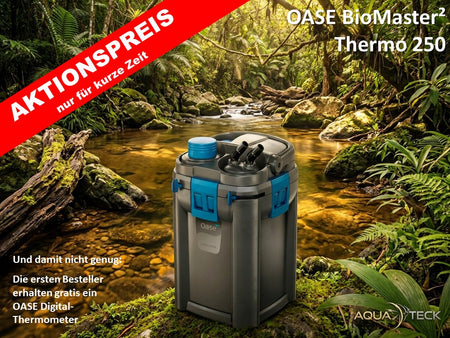 AKTIONSPREIS - OASE BioMaster² 250 Thermo - Premium-Außenfilter mit Heizer + OASE Digital-Thermometer *1) image
