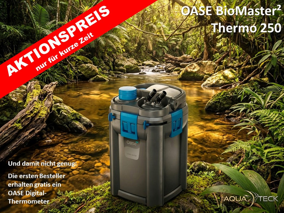 AKTIONSPREIS - OASE BioMaster² 250 Thermo - Premium-Außenfilter mit Heizer + OASE Digital-Thermometer *1)