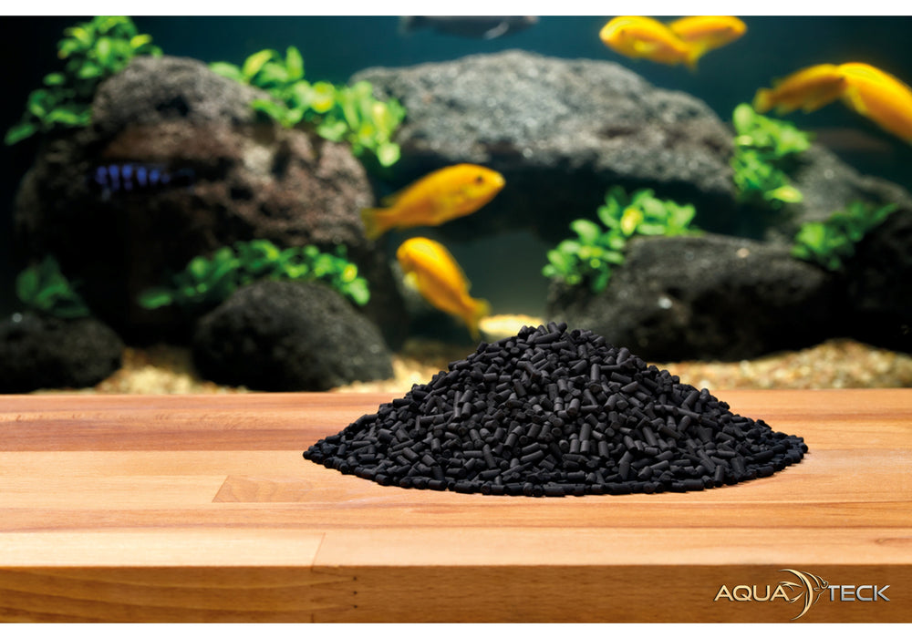 OASE Carbon Performance 1l Filtermedium