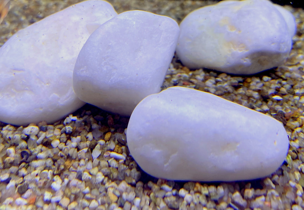 Orbit Aquariumdeko White Rocks, 0,7 kg