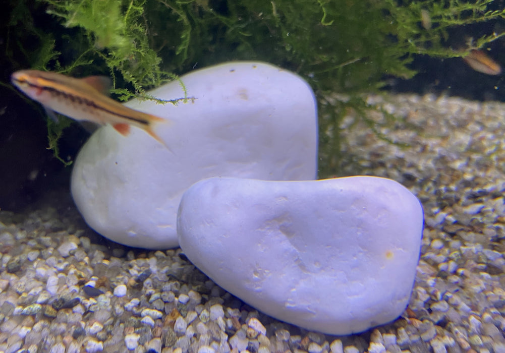 Orbit Aquariumdeko White Rocks, 0,7 kg