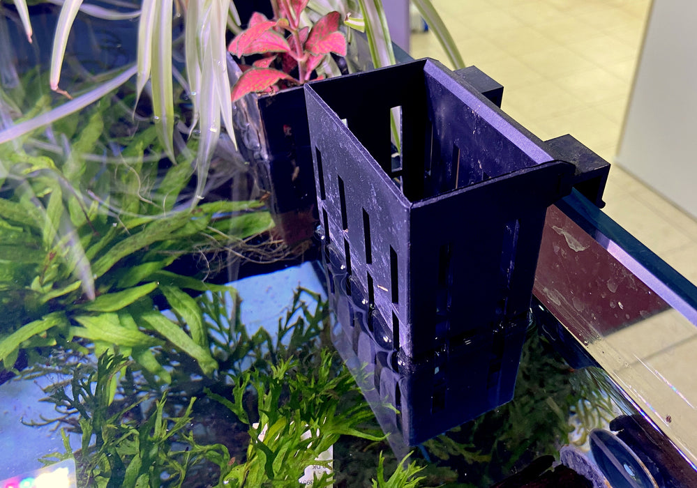 Pflanzenkorb für Aquarium