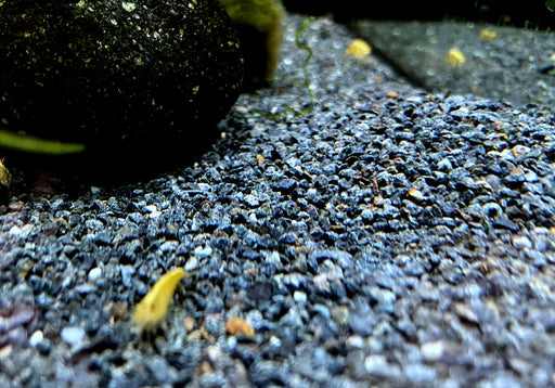 Naturkies Riversand black (0-1,8 mm)